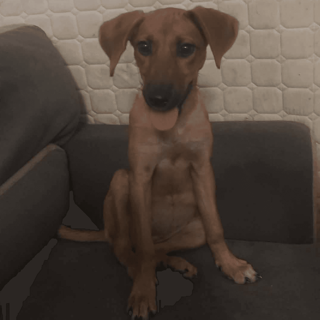 Chance
