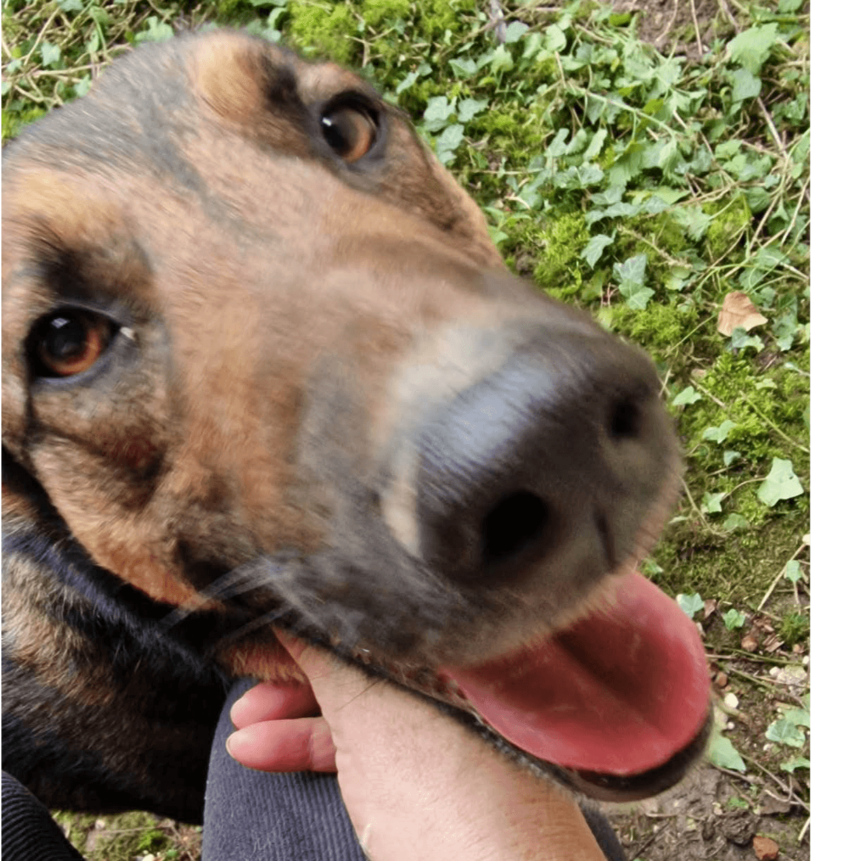Duke